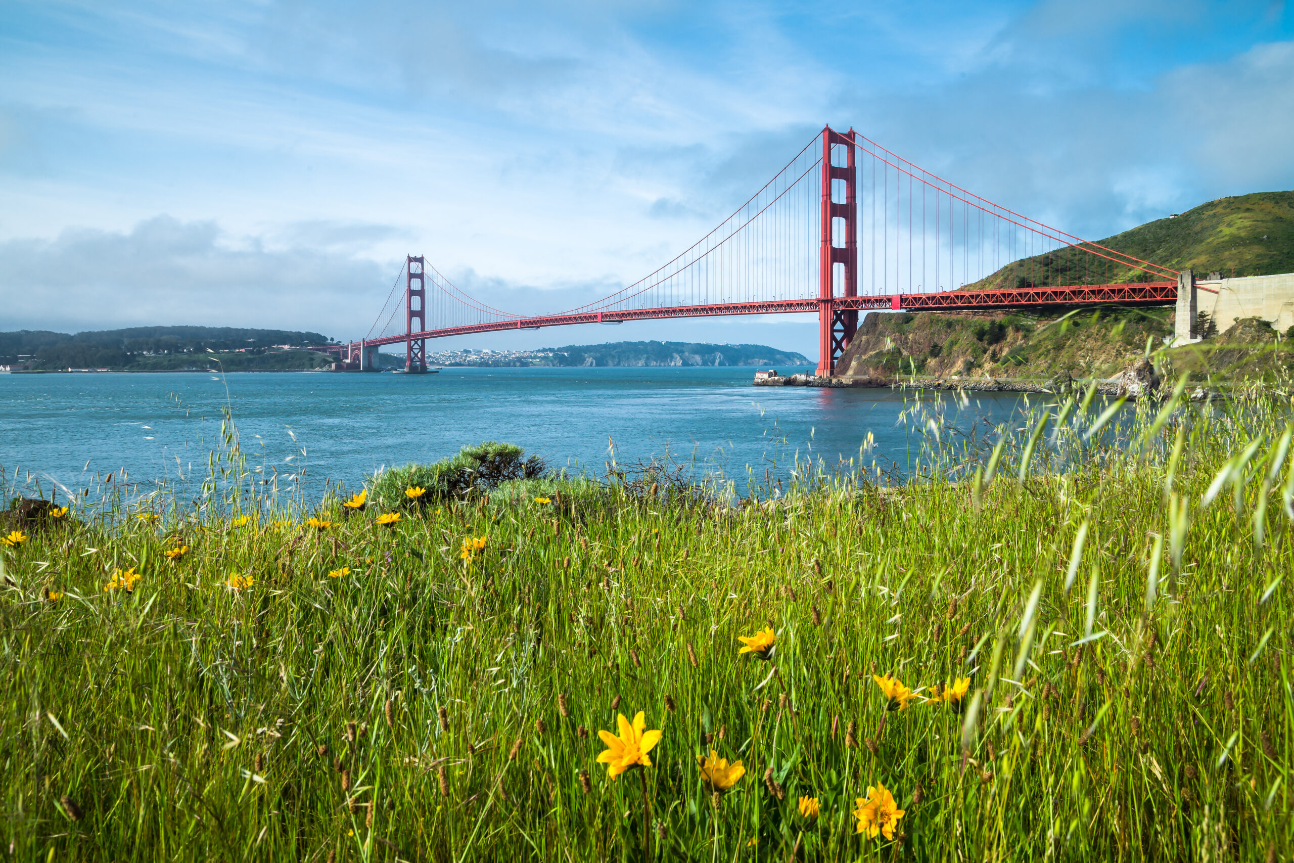 Activities and Events in San Francisco in Summer