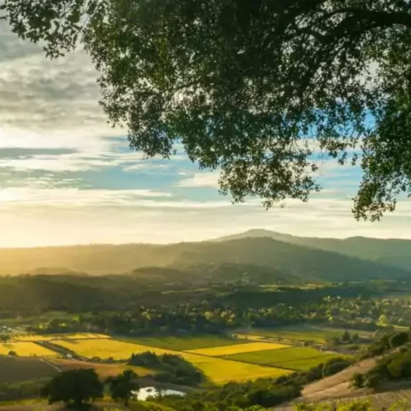 5 Overnight Trips from San Francisco