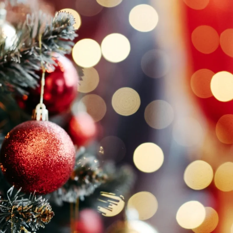 A Joyful Guide to Christmas in San Francisco