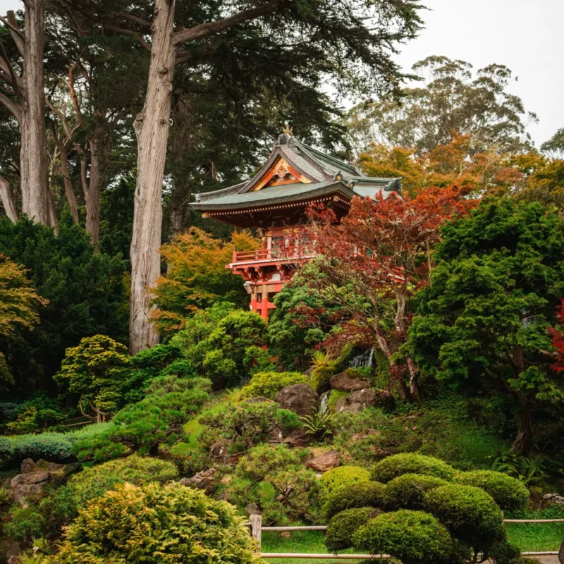 Japanese Tea Garden in Golden Gate Park: What to Know Before You Go