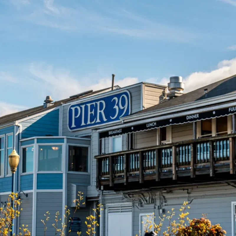 Things to Do at Pier 39: Attractions, Dining, and Travel Tips